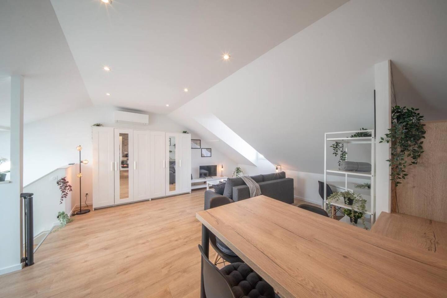 Superbe Appartement Climatise Parking Free Mülhausen Exterior foto